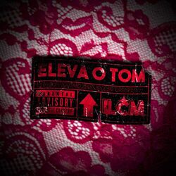 Cover of Elevo o Tom