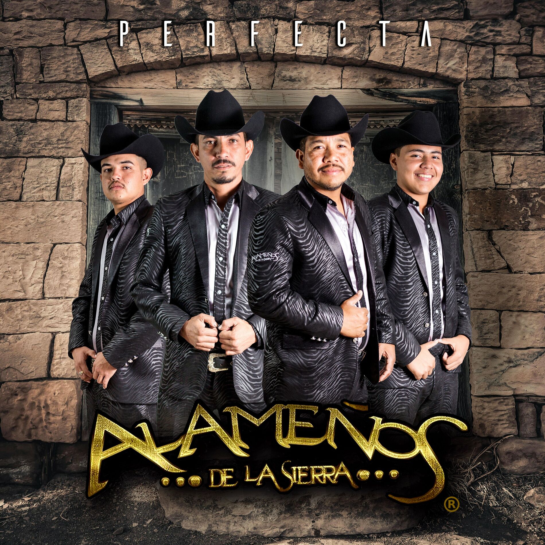 Album cover of Perfecta