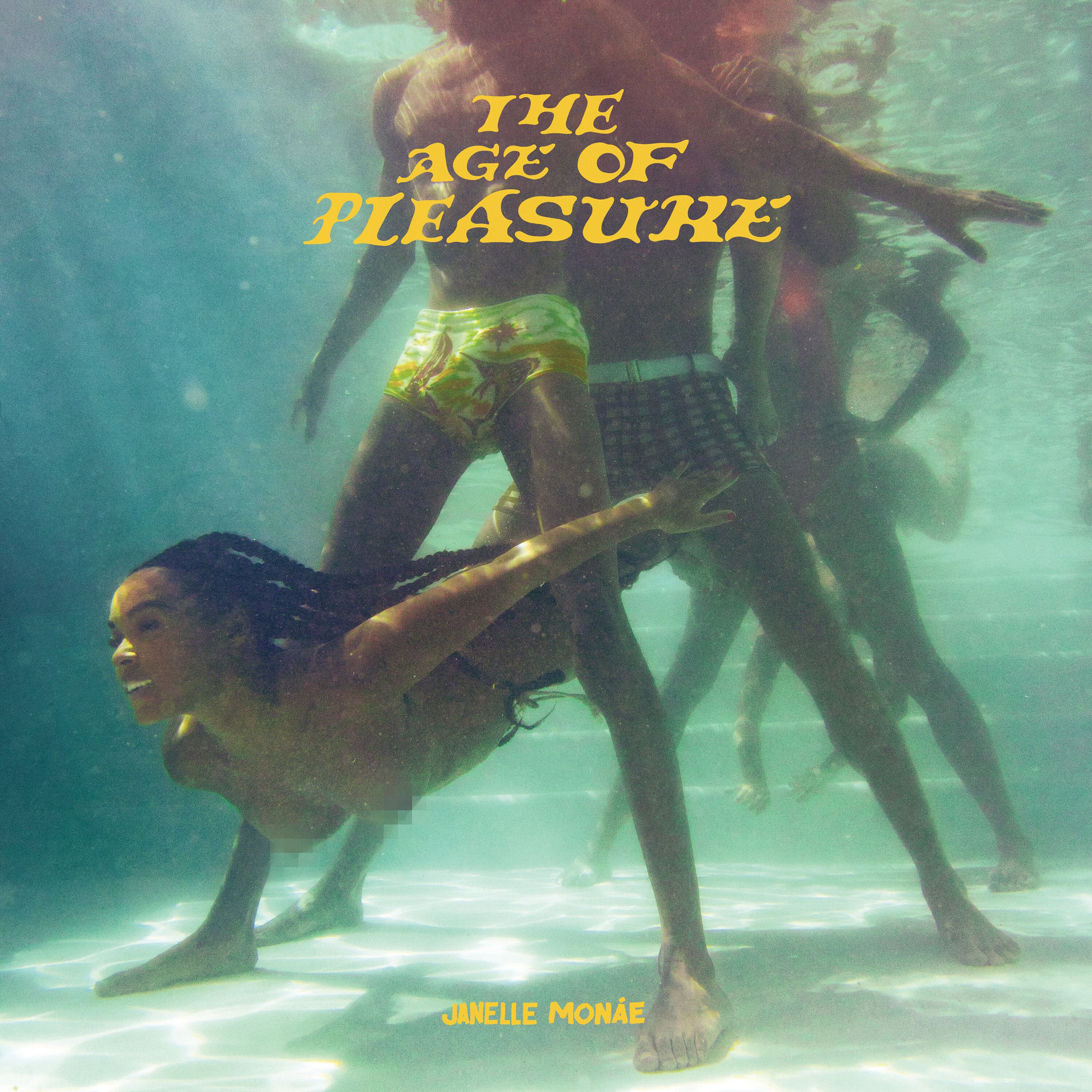 Album picture of The Age of Pleasure