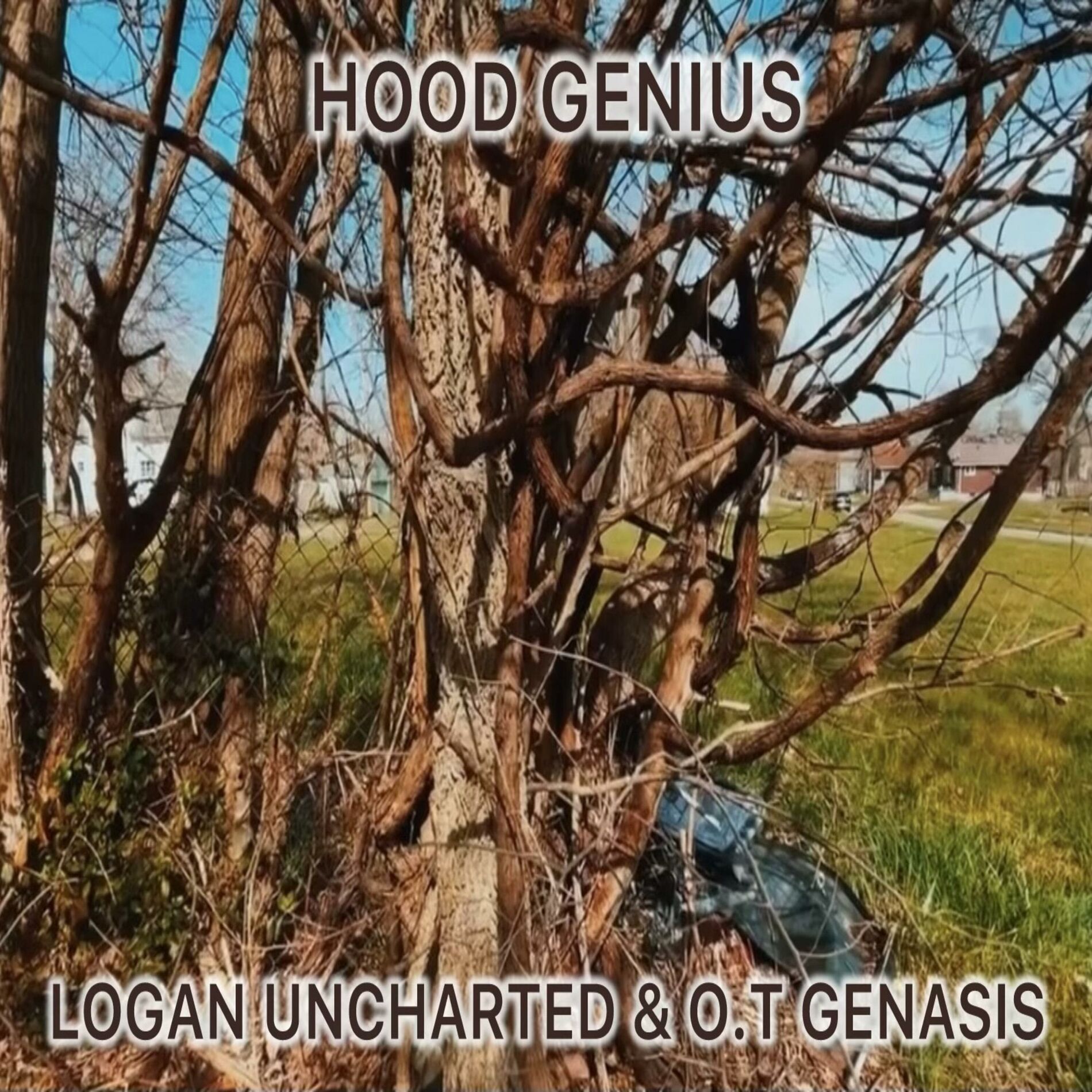 Album cover of Hood Genius (feat. O.T. Genasis)