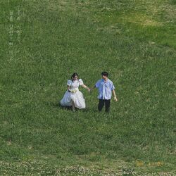 Cover of Film Love