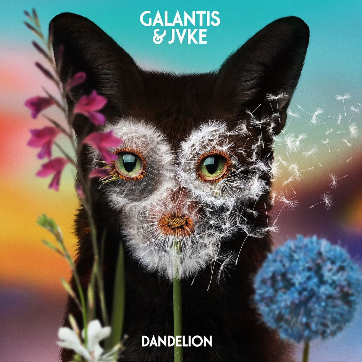Album cover of Dandelion