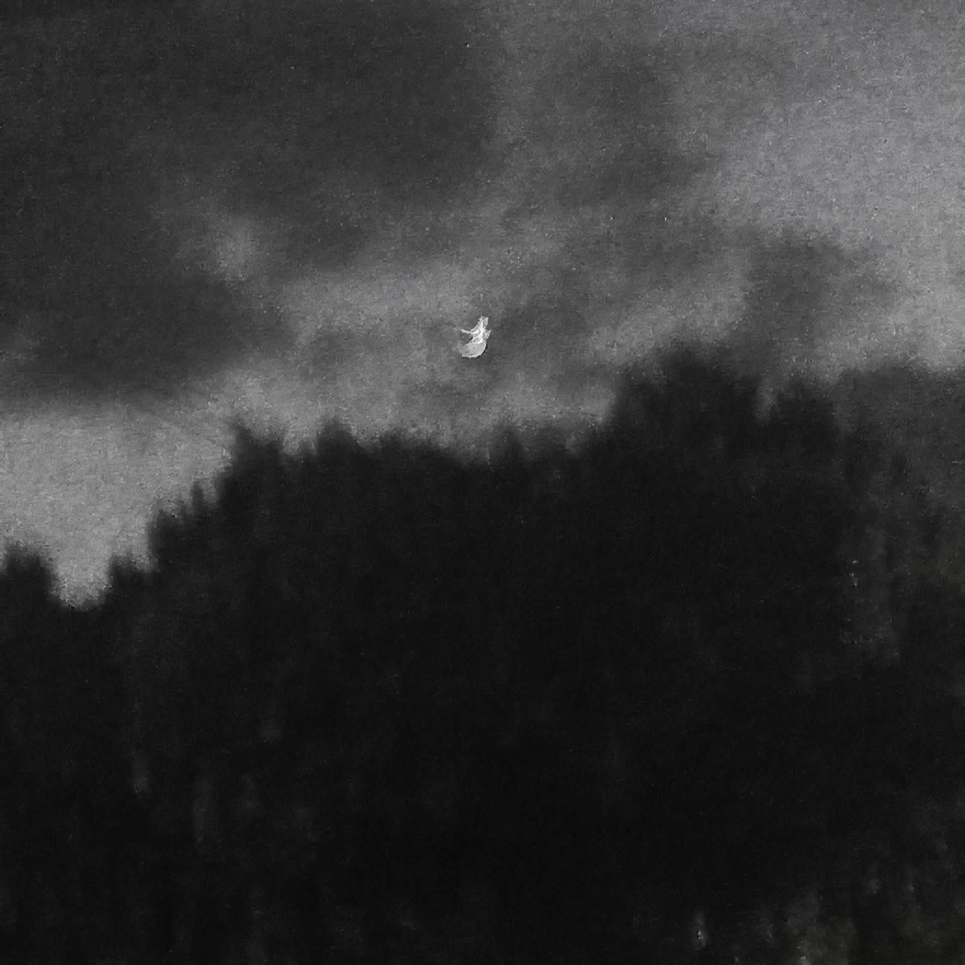 Album cover of Bailame.Mp3