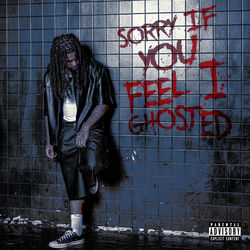 Sorry If You Feel I Ghosted album cover