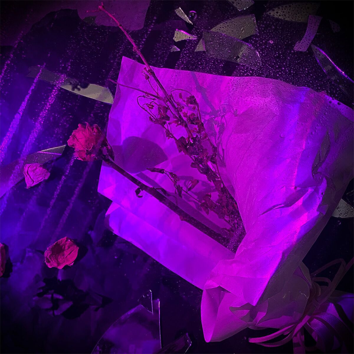 Album cover of 거짓말