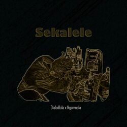 Cover of Sekalele