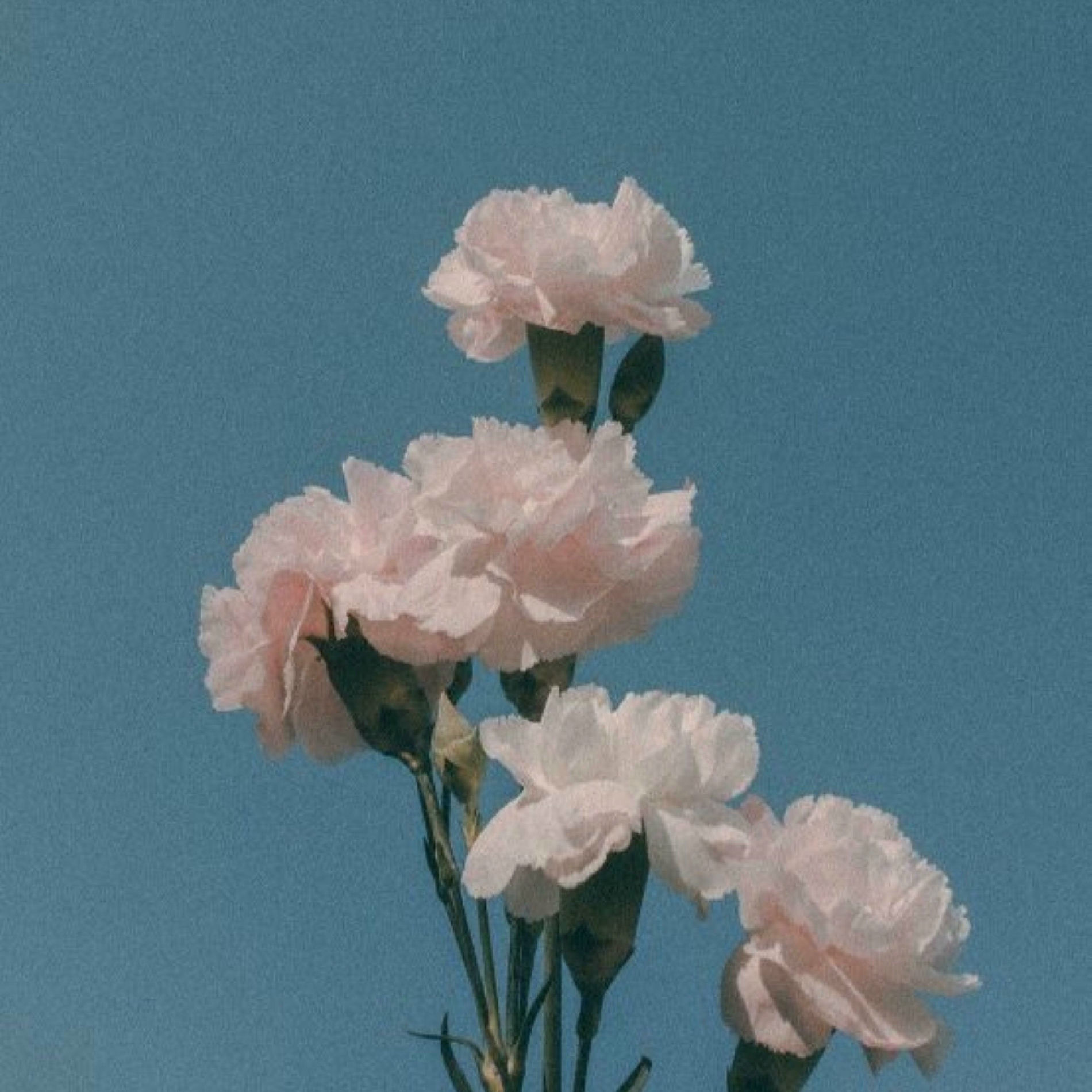 Album cover of In the mood