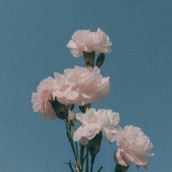 Cover of In the mood