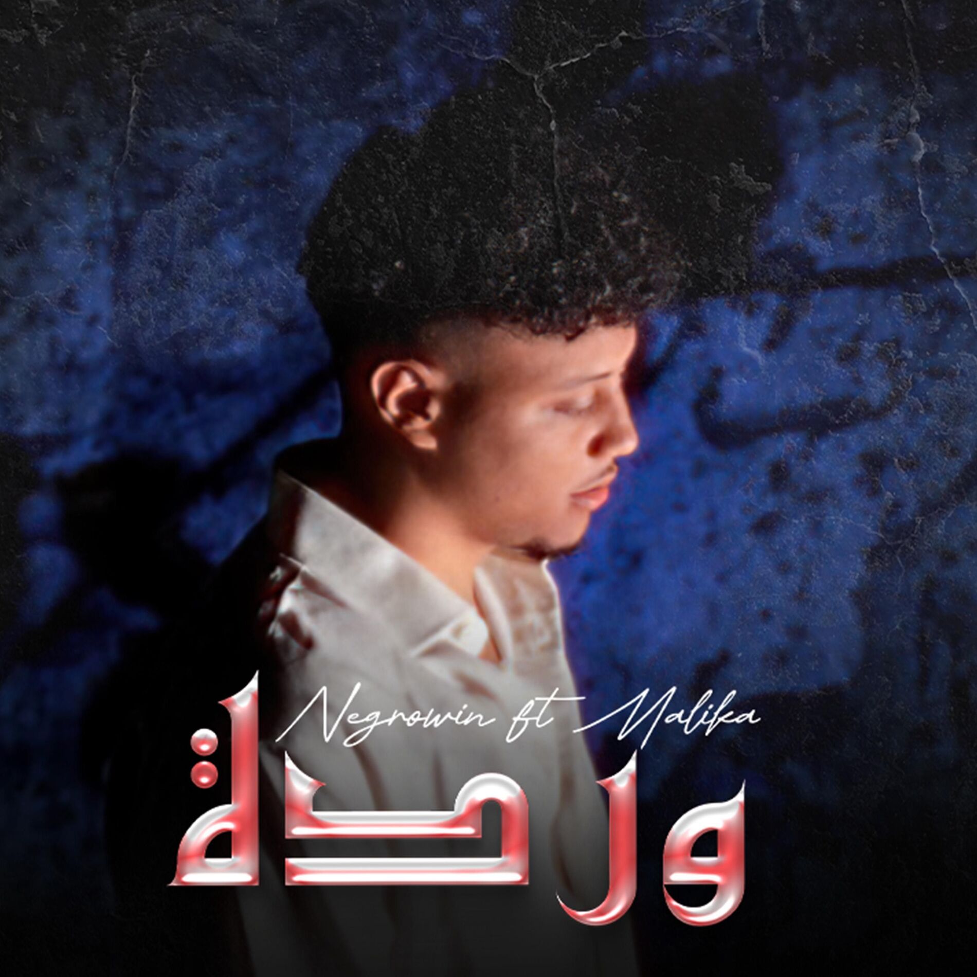 Album cover of Warda (feat. Malika)