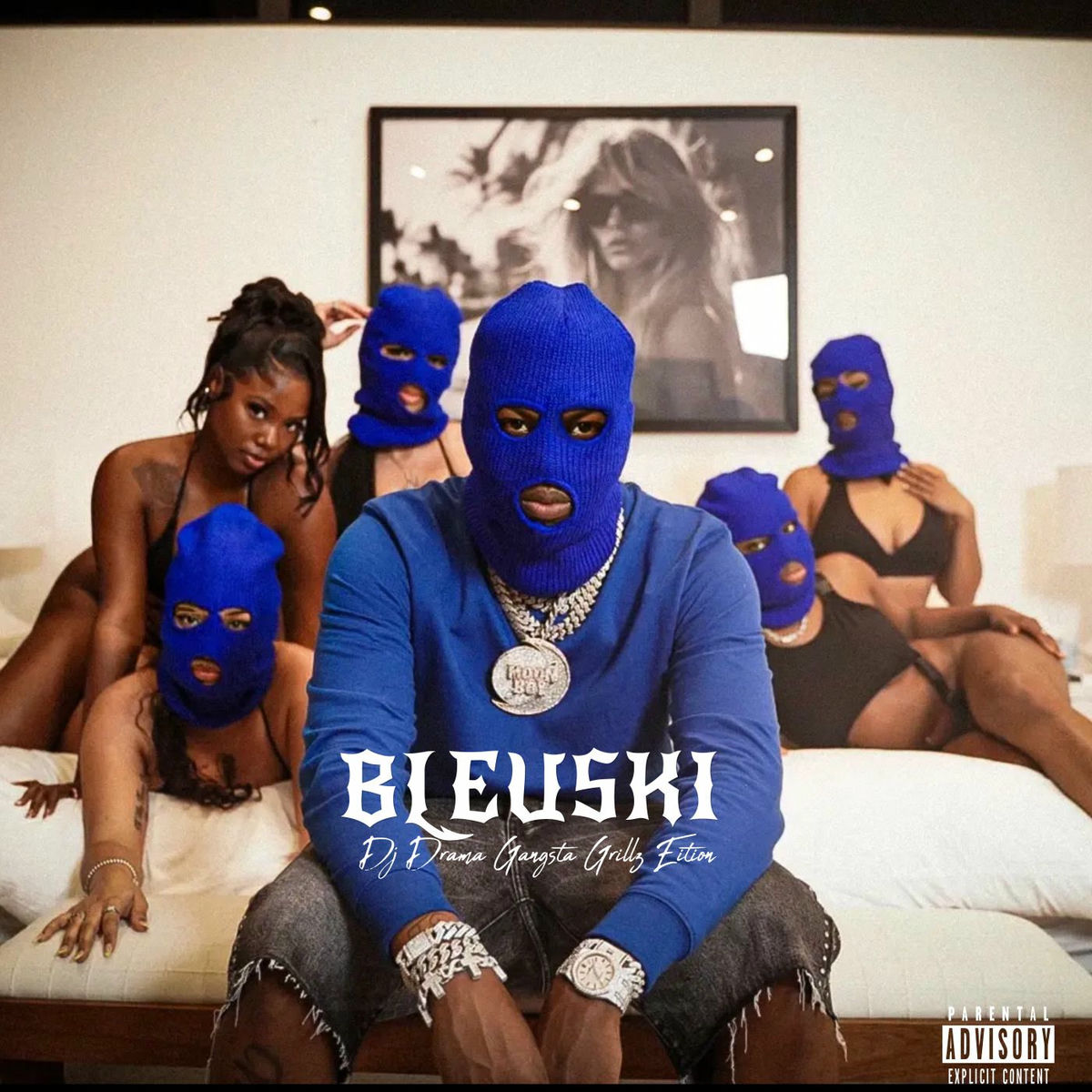 Album cover of Bleuski