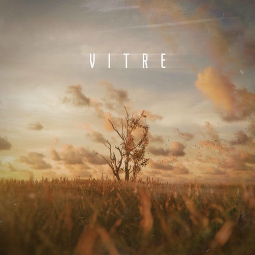 Vitre