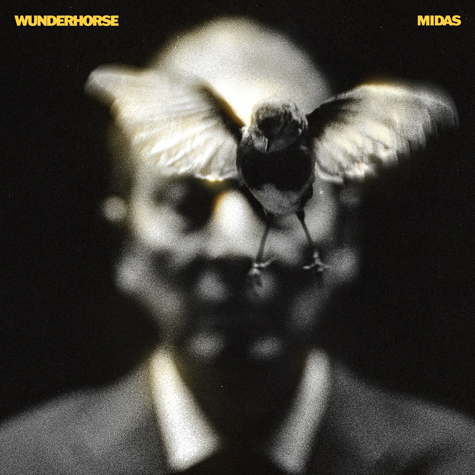 Album cover of Midas