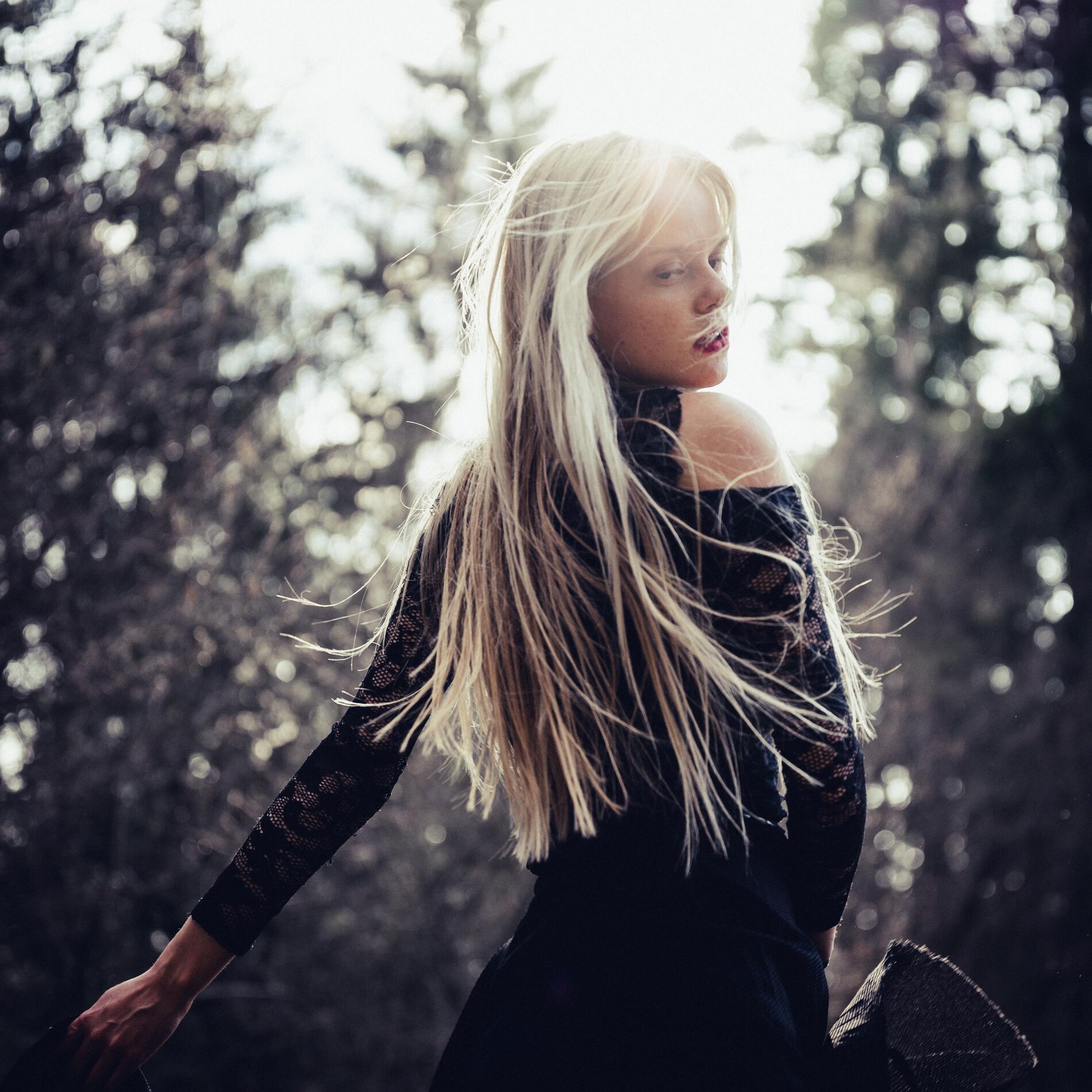 Album cover of Piano Forte