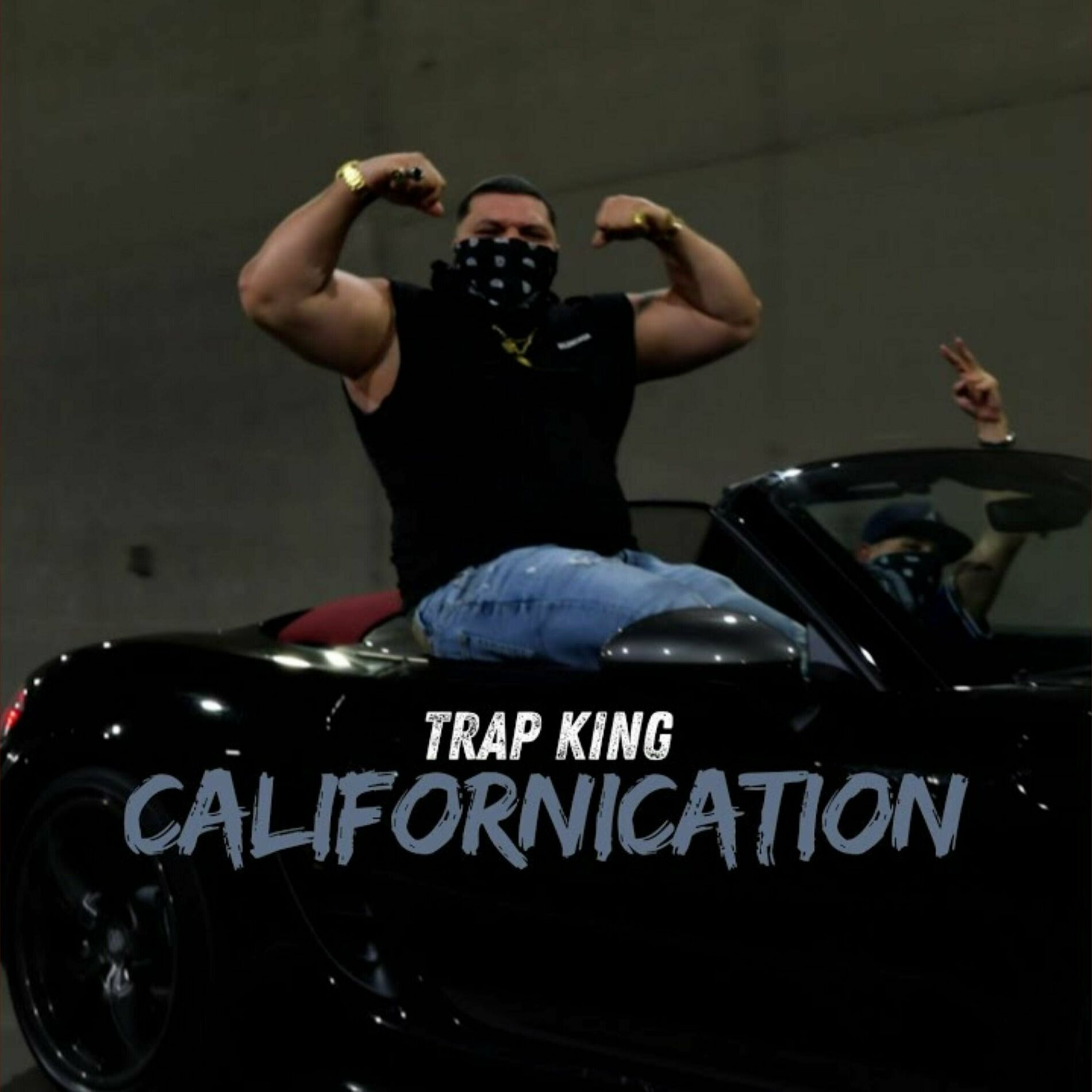 Album cover of Californication