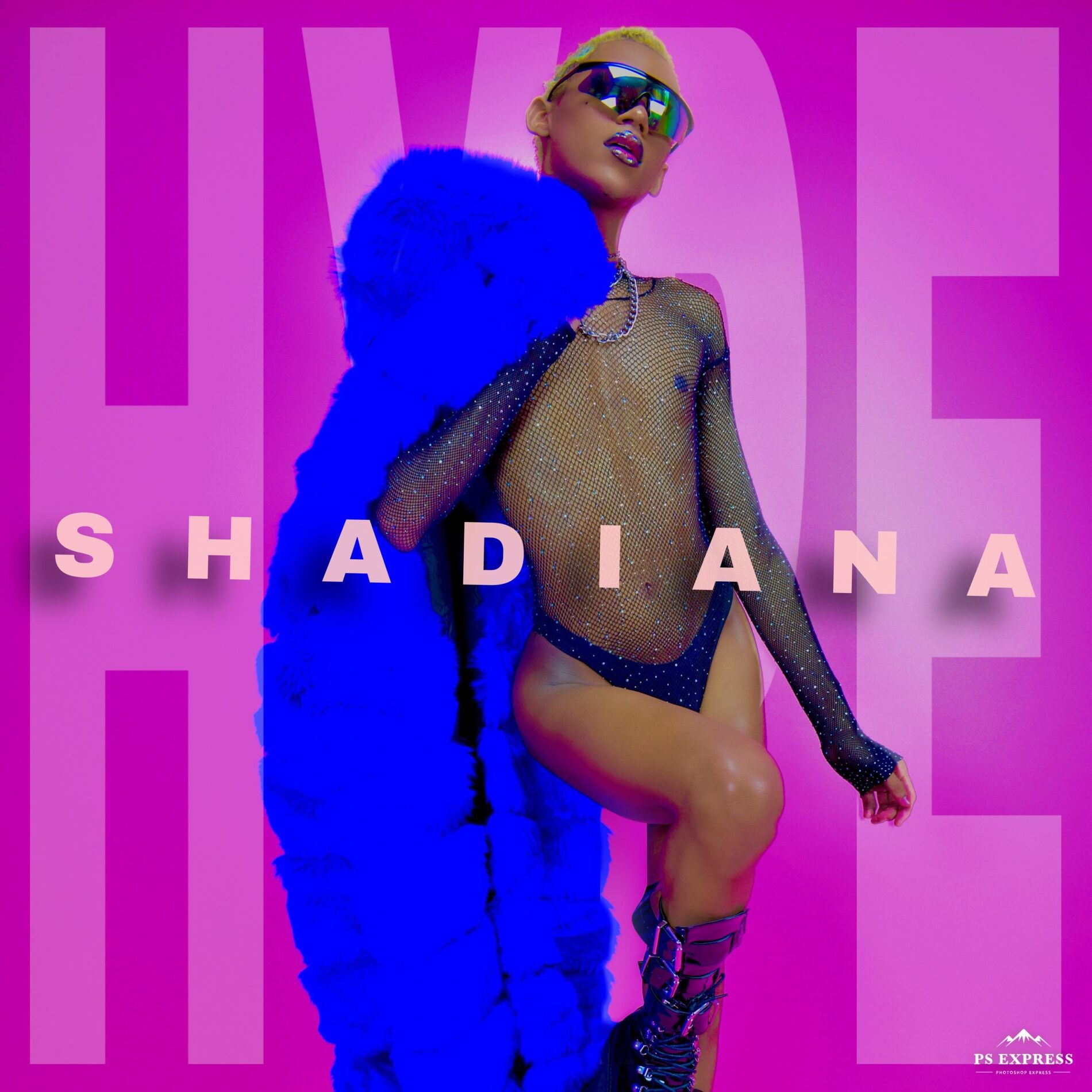 Album cover of Hype