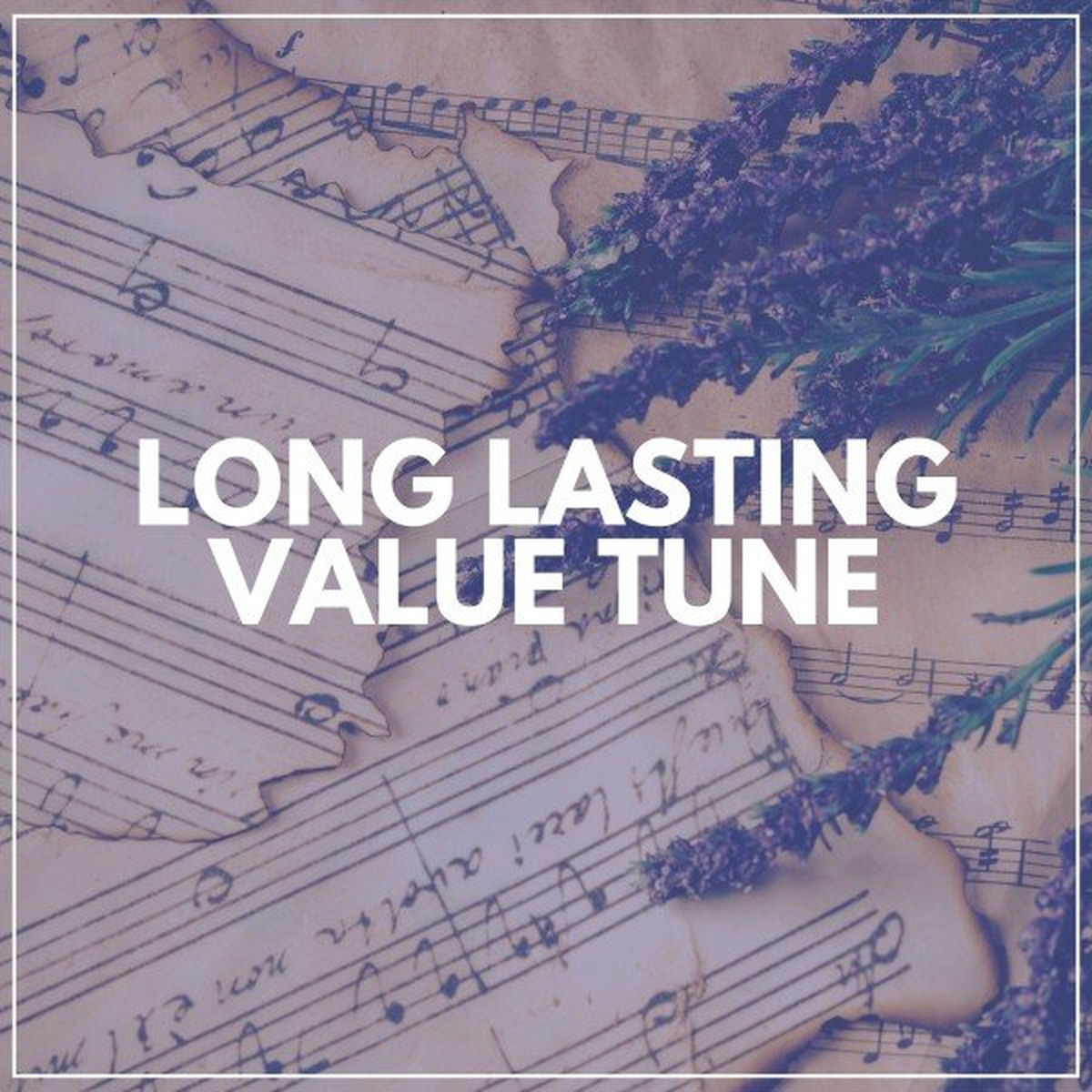 Album cover of Long Lasting Value Tune