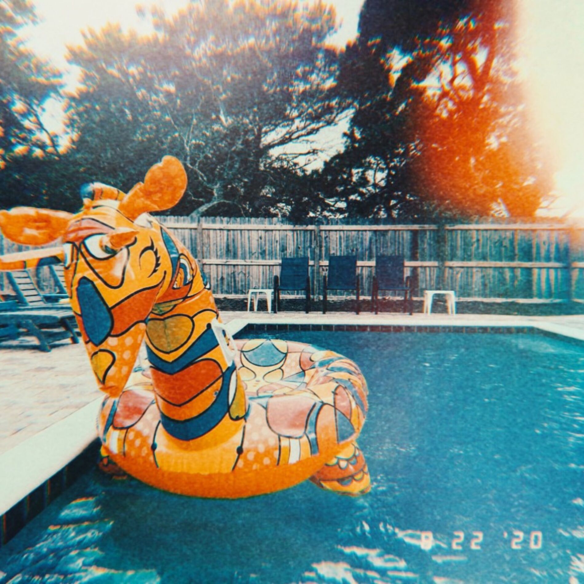 Album cover of Summer Was Canceled