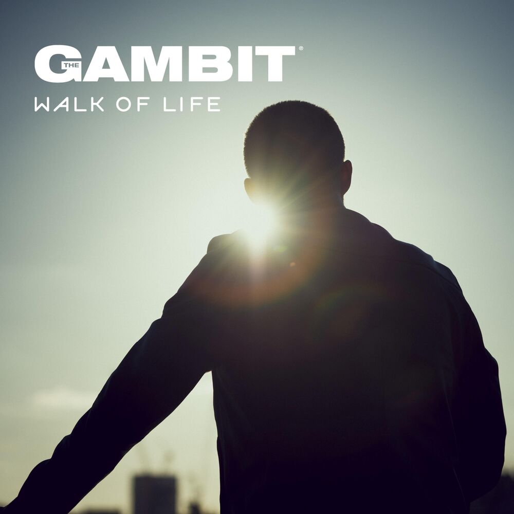 Picture of Walk of Life