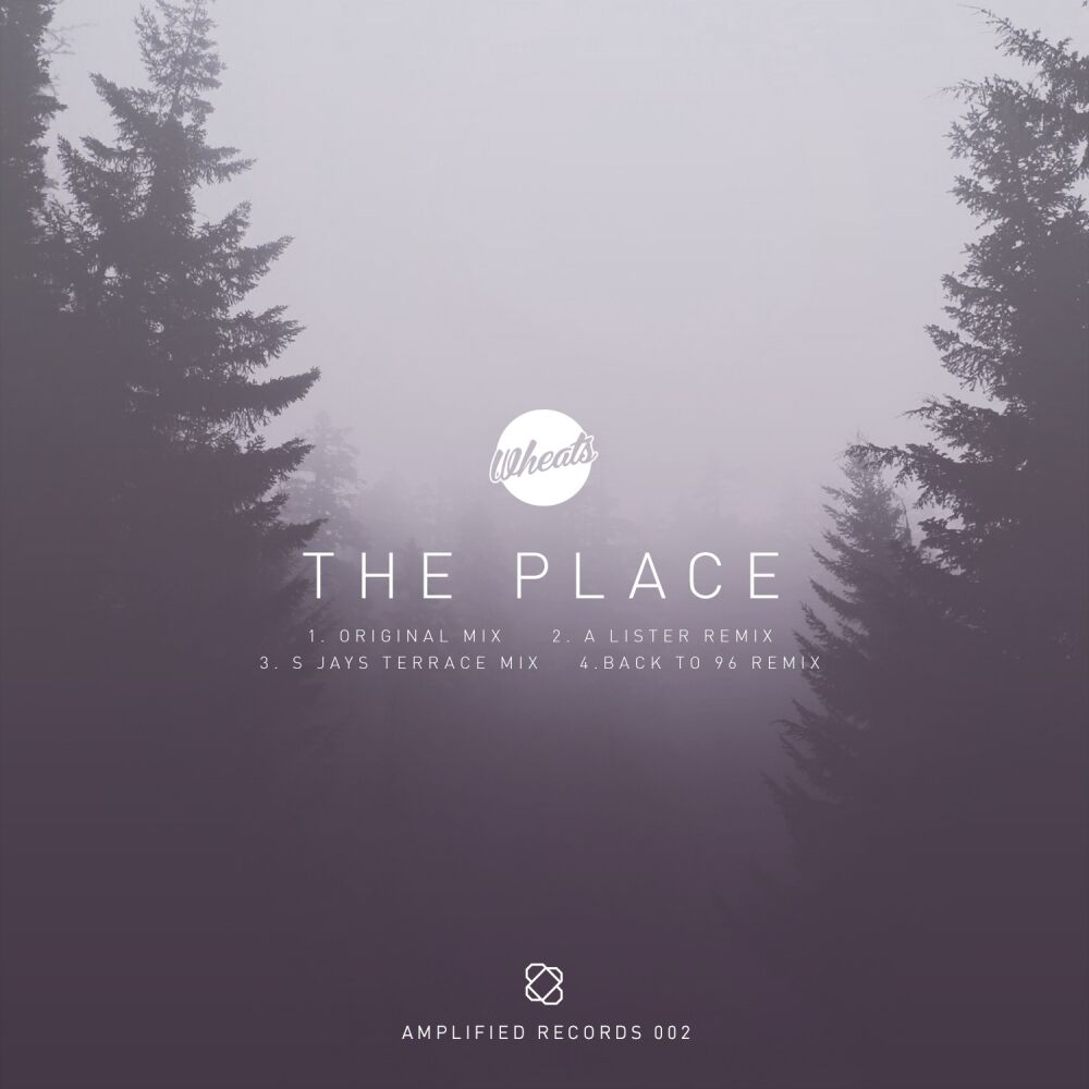 Picture of The Place EP