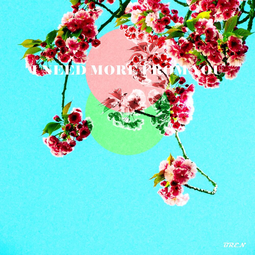 Picture of I Need More from You