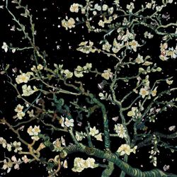 Cover of this is what space feels like
