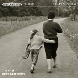 Cover of Don't Lose Heart