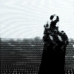 Cover of ex æquo