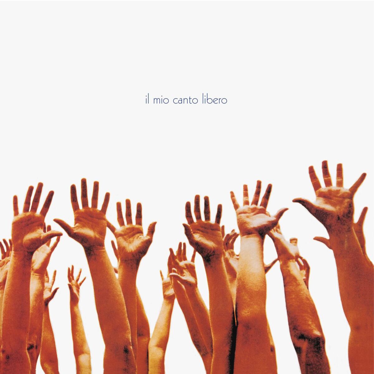 Album cover of L'aquila