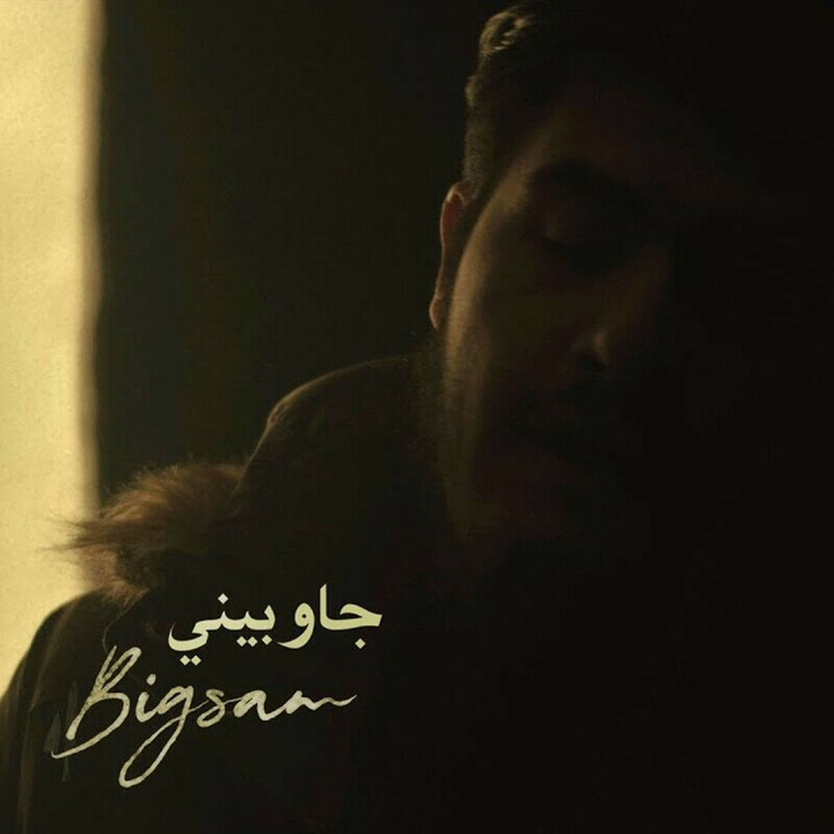 Album cover of جاوبيني