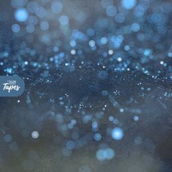 Cover of Particles
