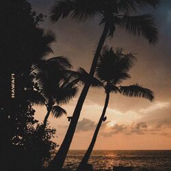 Cover of Hawai'i