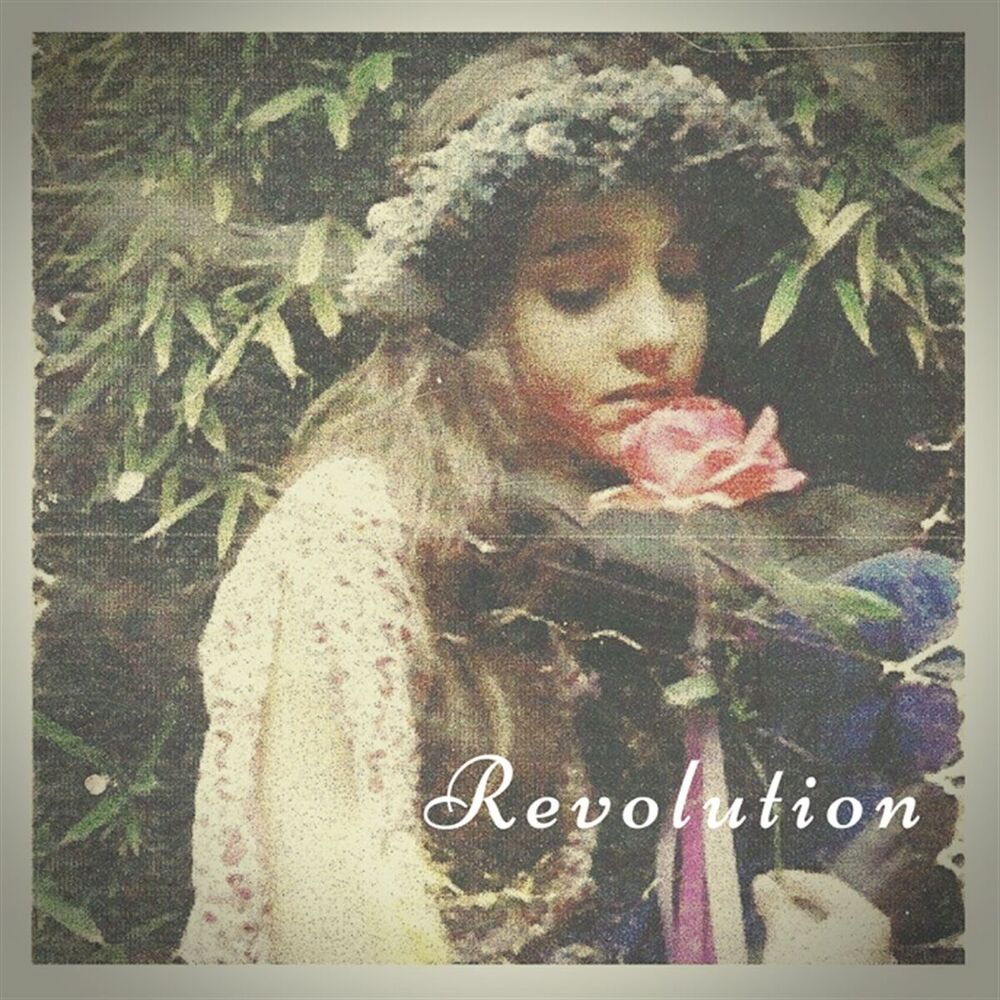 Picture of Revolution