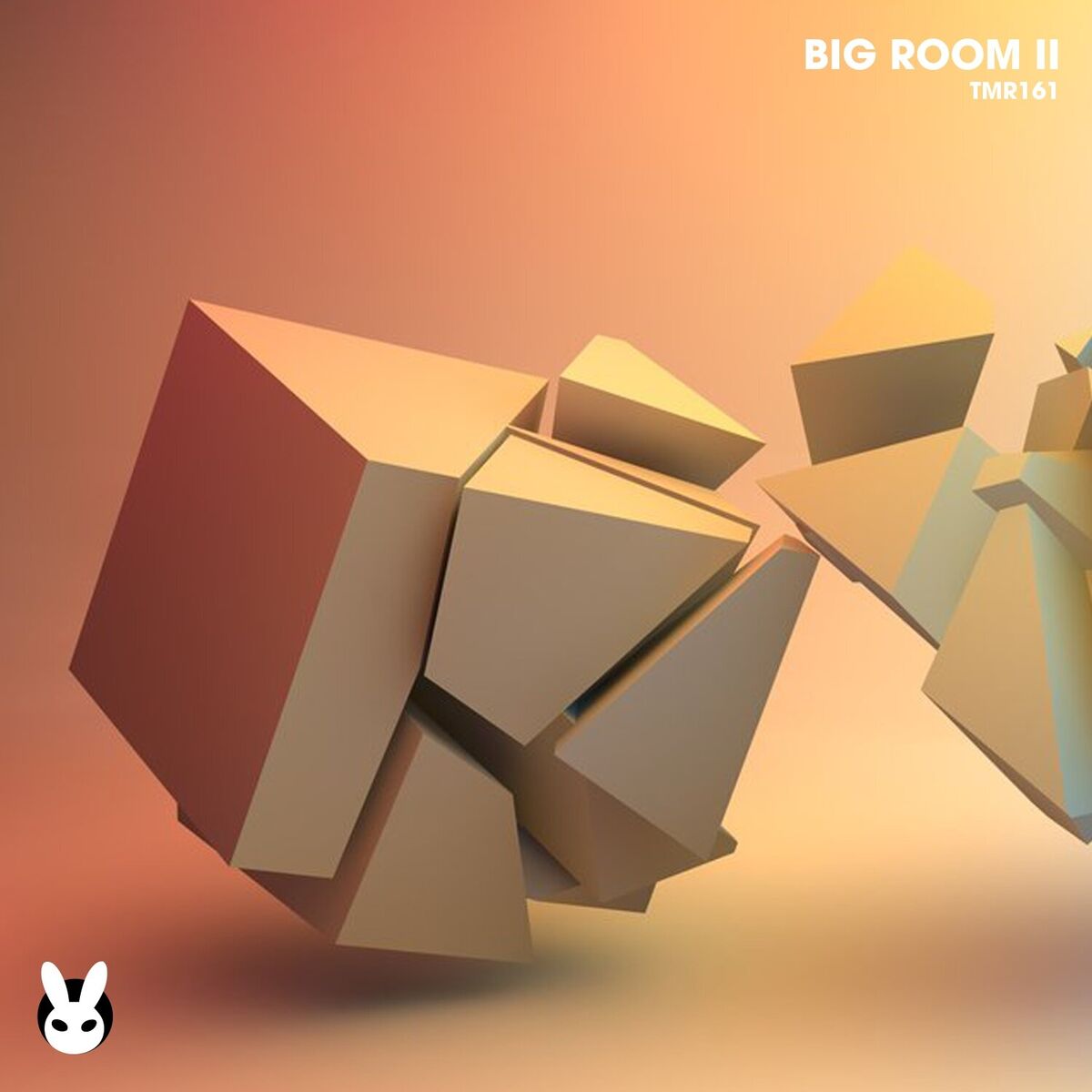 Album cover of Big Room II