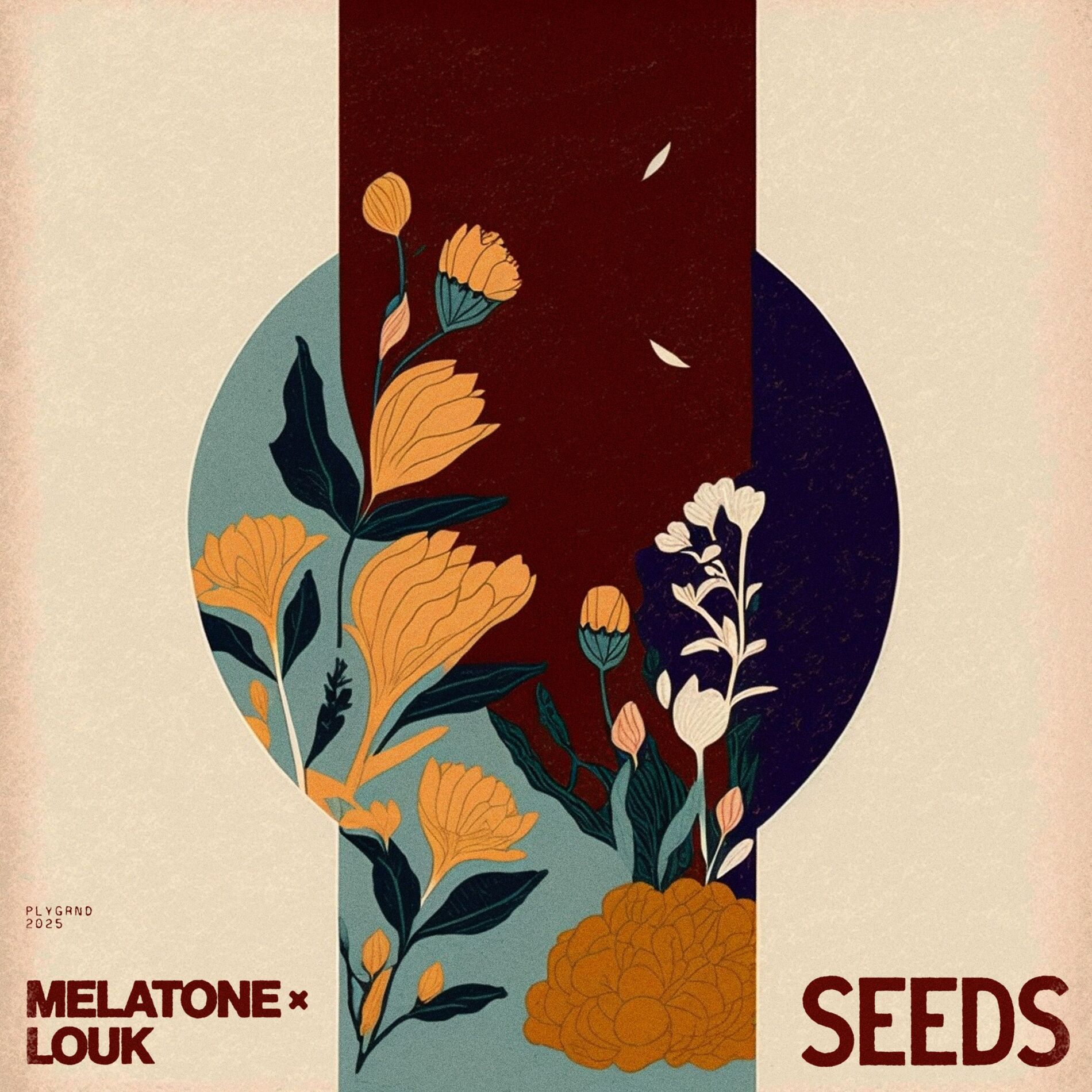 Album cover of Seeds