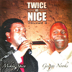 Cover of Twice as Nice Vol. 2