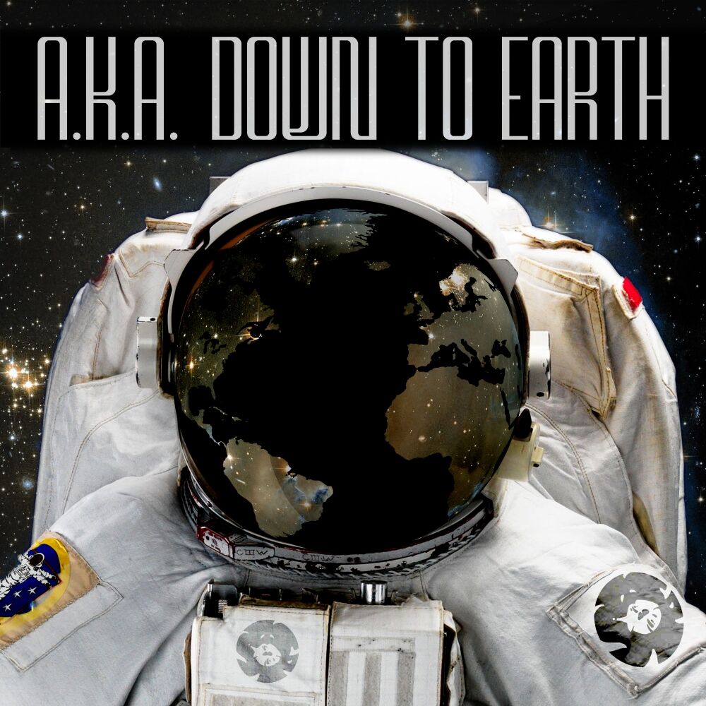 Picture of Down To Earth