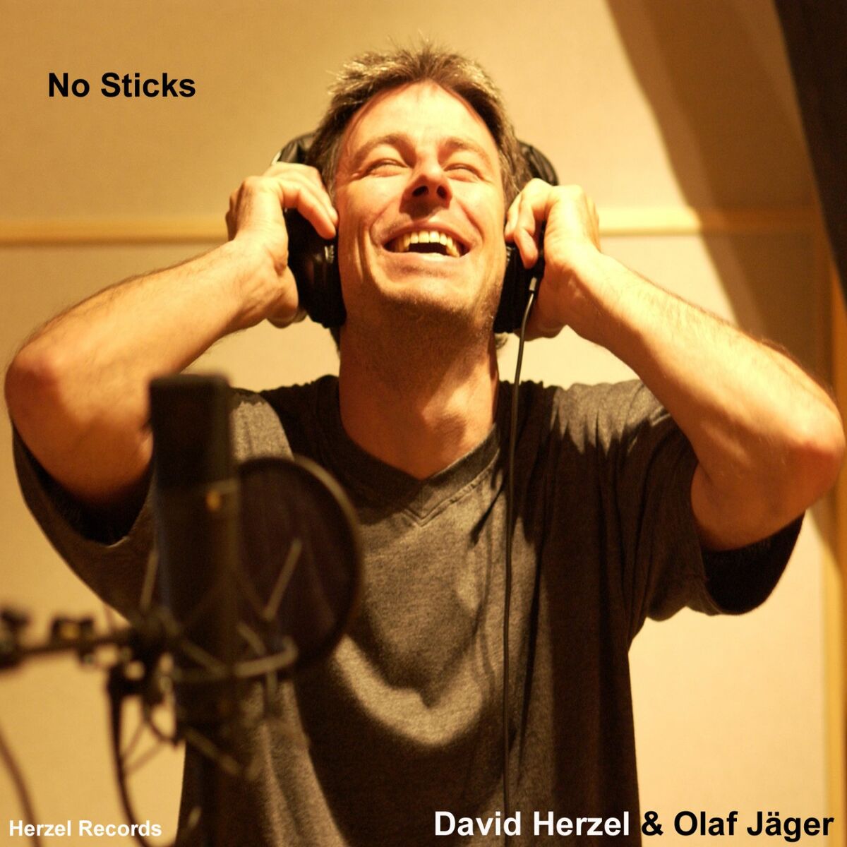 Album cover of No Sticks