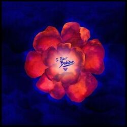 Cover of I Didn't Believe (Remixes)