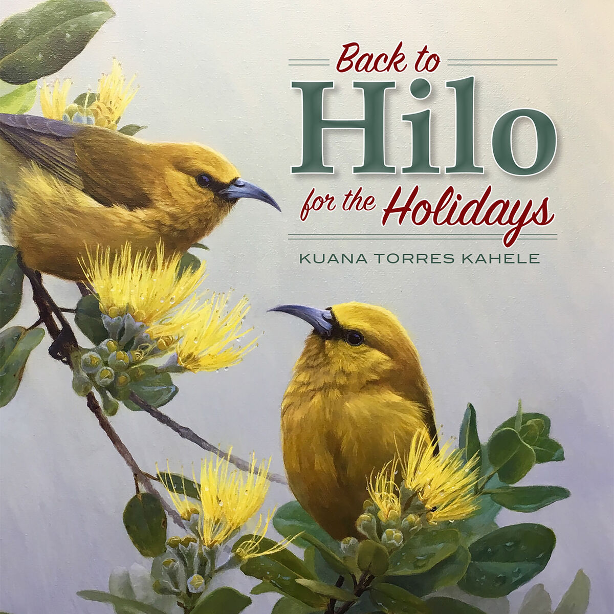 Album cover of Back to Hilo for the Holidays