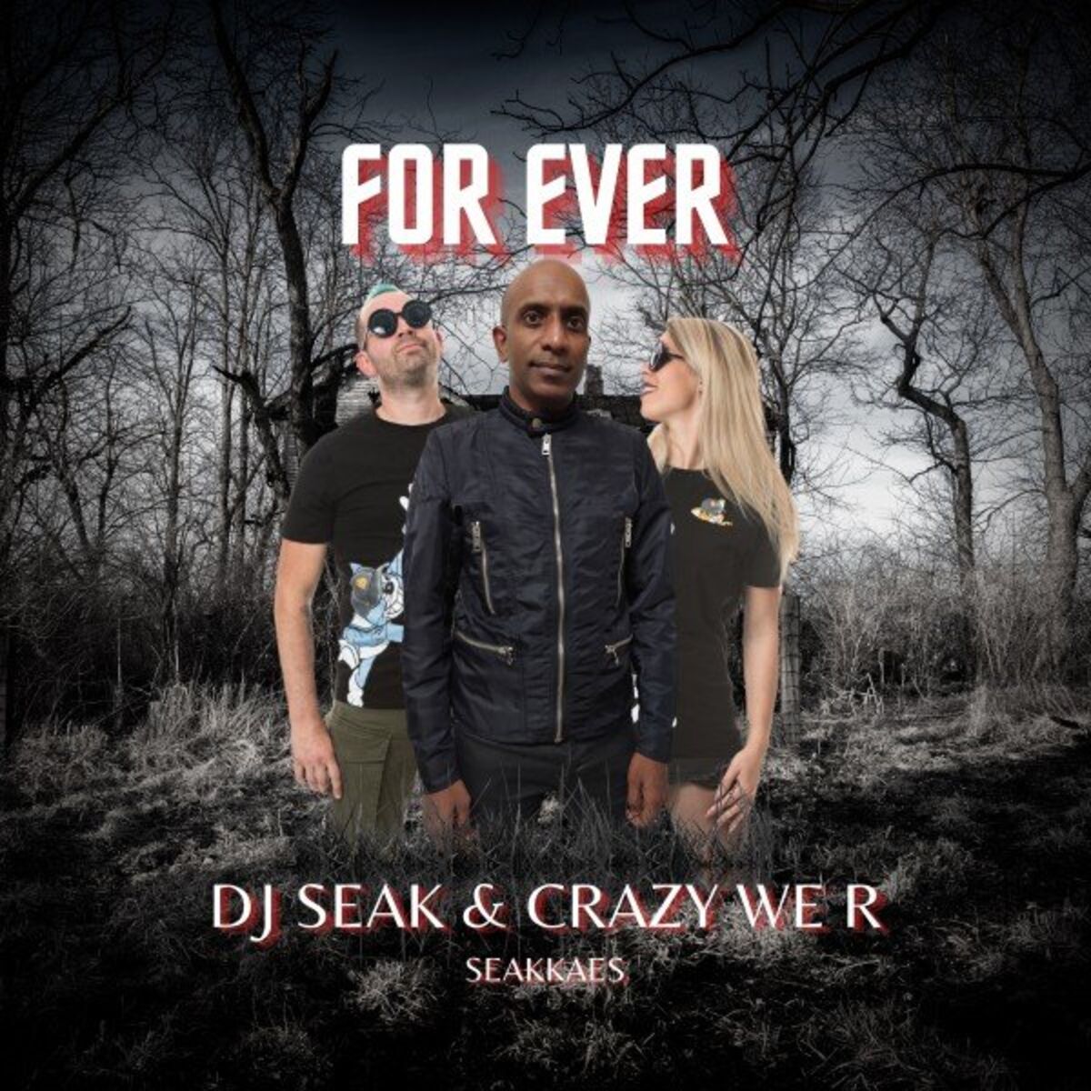 Album cover of For Ever