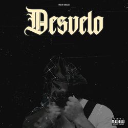 Cover of Desvelo