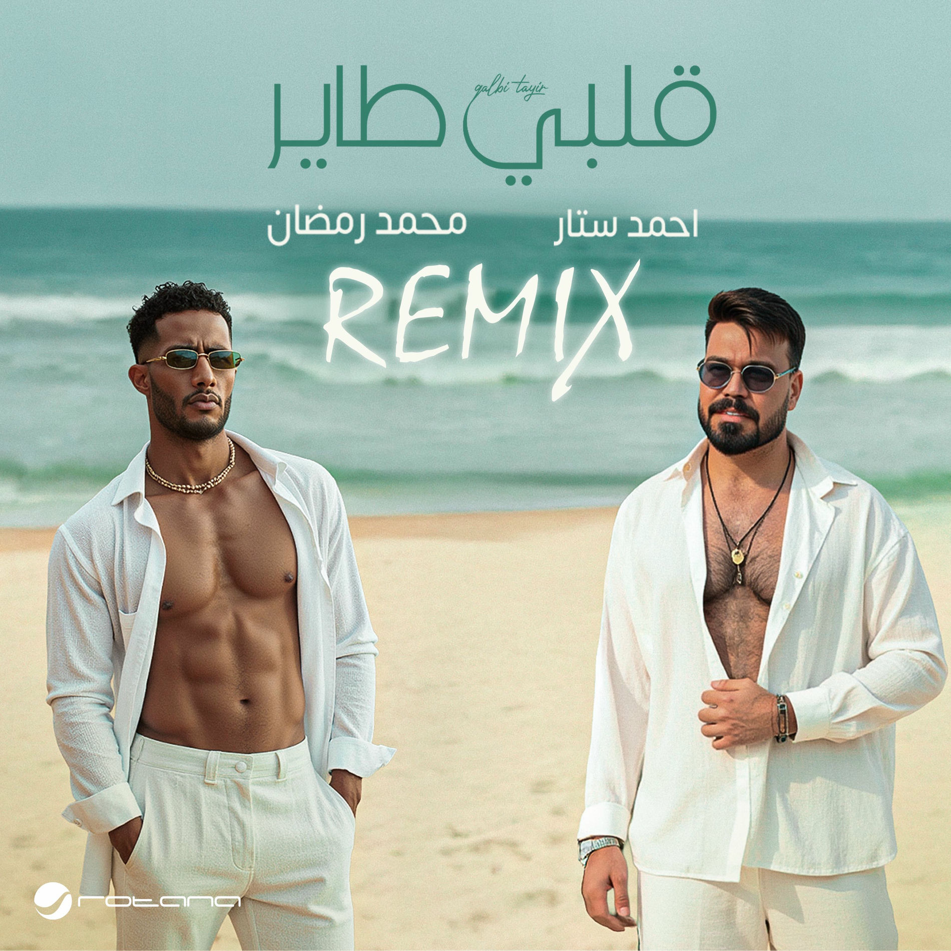 Album cover of Qalbi Tayir (Remix)
