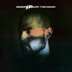 Cover of Bury the Moon