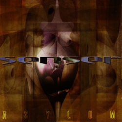 Cover of Asylum