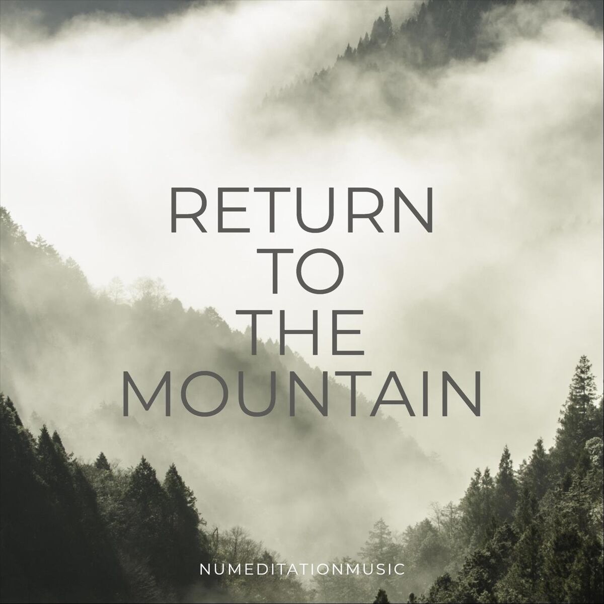 Album cover of Return to the Mountain