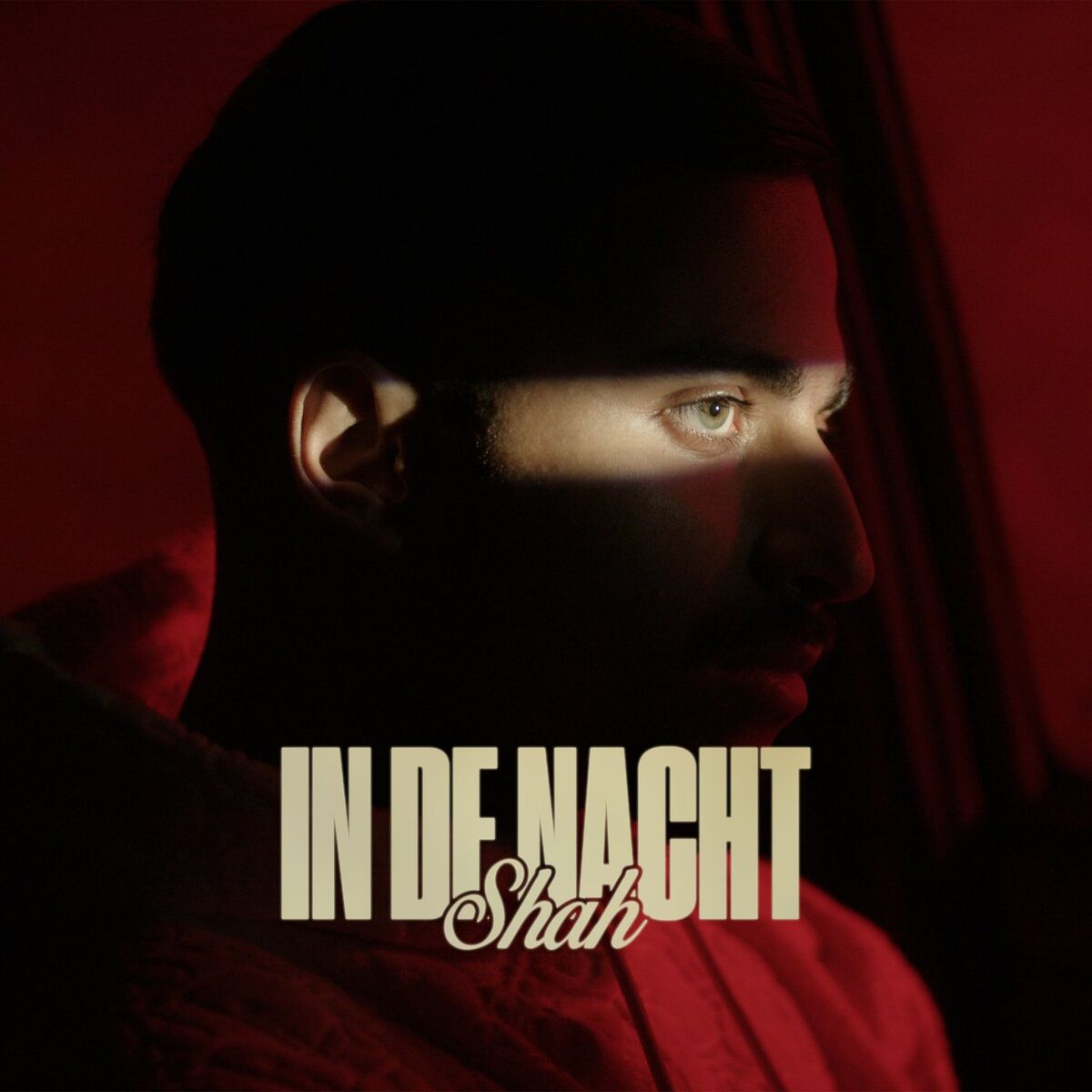 Album cover of In De Nacht