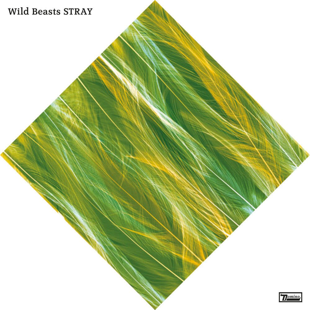 Picture of Stray