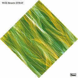 Cover of Stray