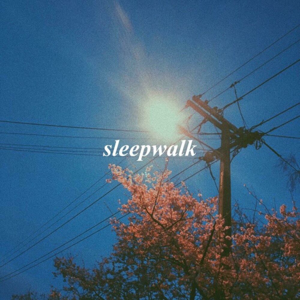 Picture of Sleepwalk