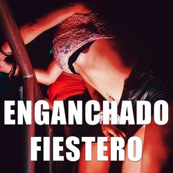 Cover of Enganchado fiestero